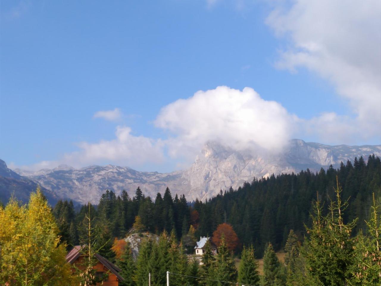 Apartment Durmitor Žabljak Exteriér fotografie
