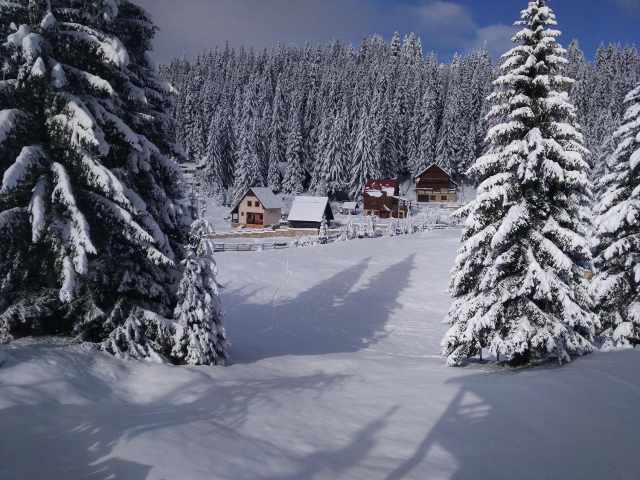 Apartment Durmitor Žabljak Exteriér fotografie