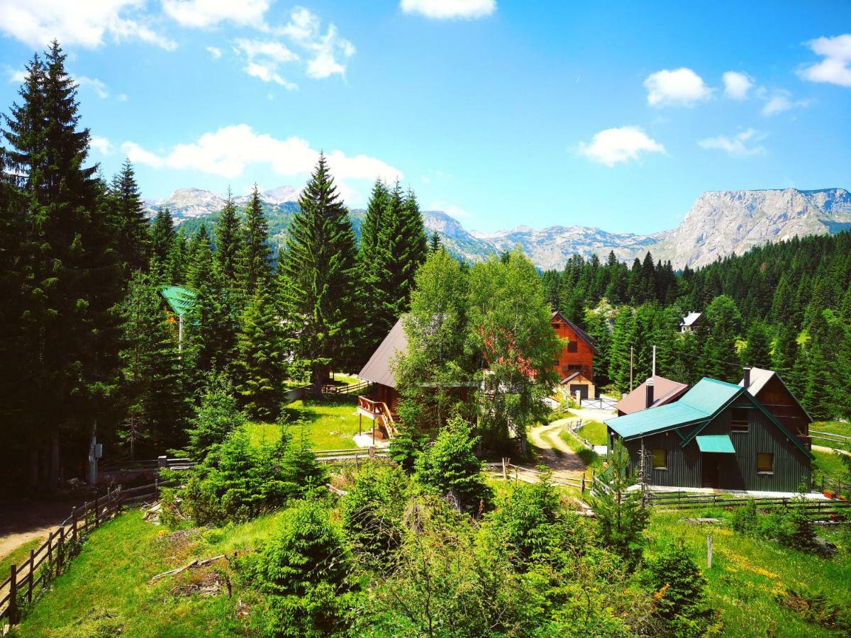 Apartment Durmitor Žabljak Exteriér fotografie