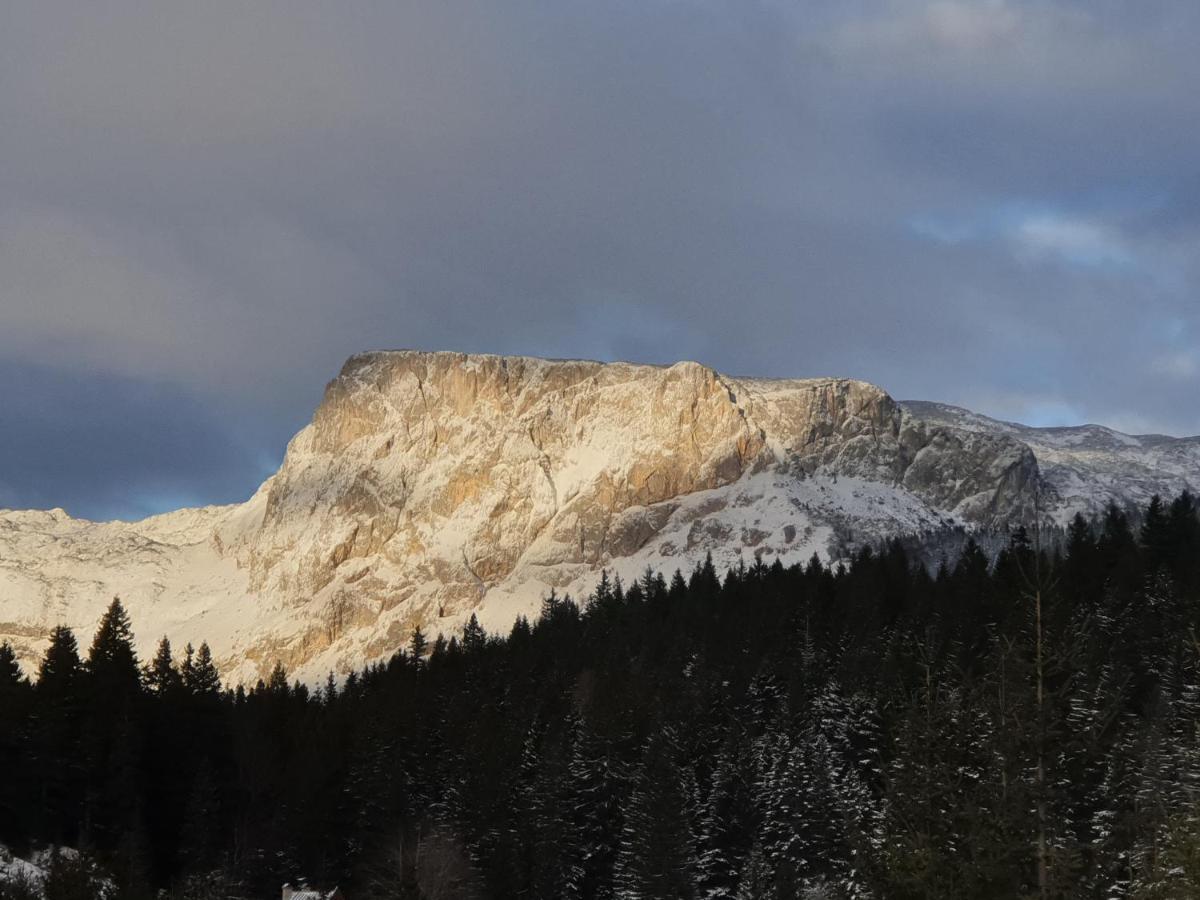 Apartment Durmitor Žabljak Exteriér fotografie